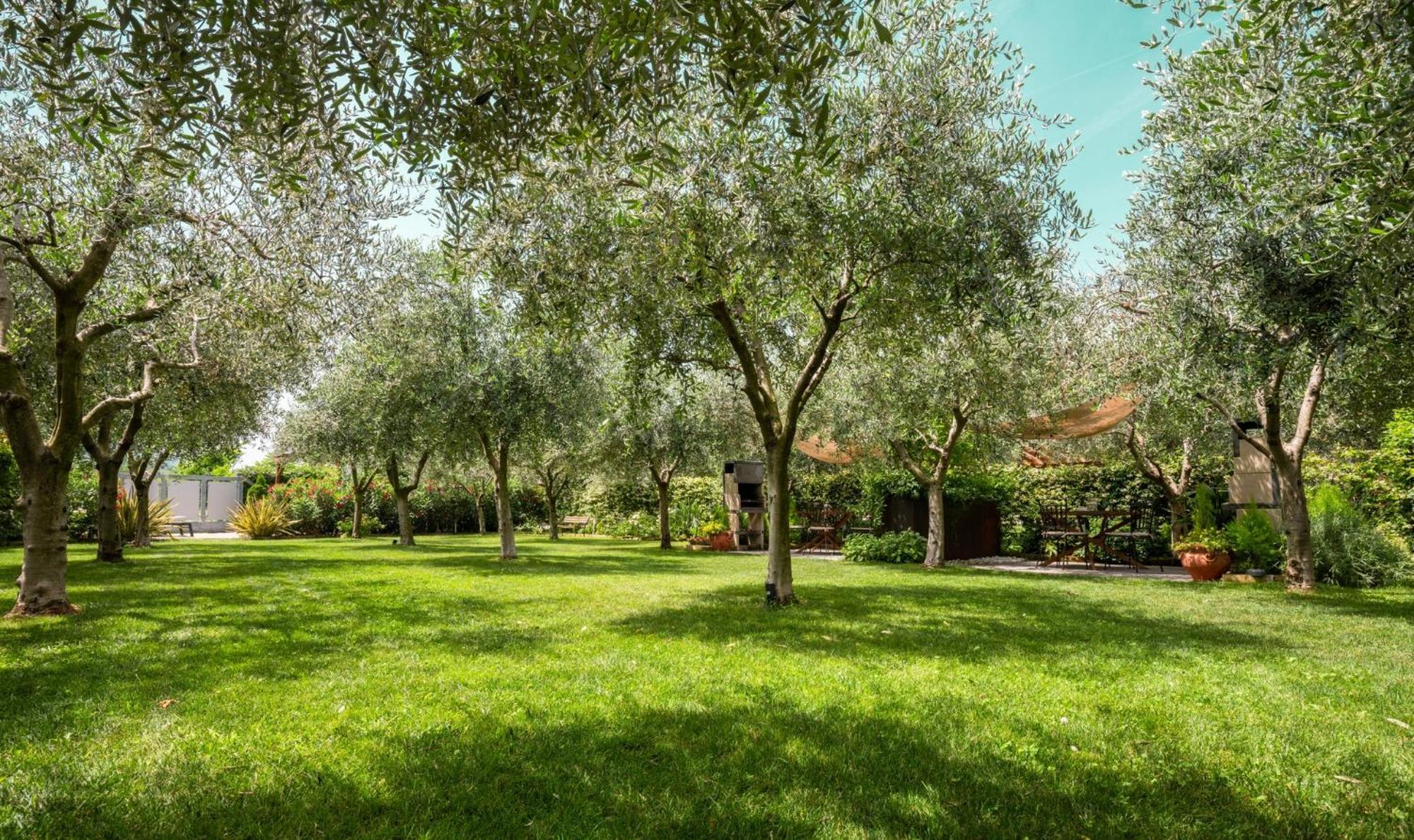 Casa 32 Loft - Garda Lake Torbole Sul Garda Buitenkant foto